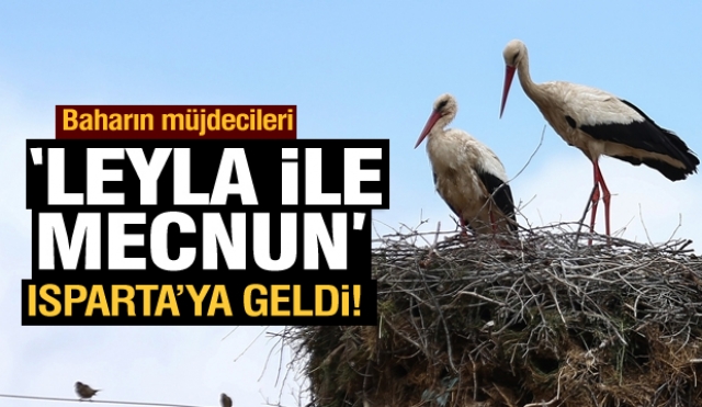 işte Isparta'nın "Leyla" ile "Mecnun"ları baharı müjdelediler
