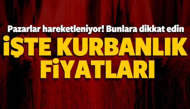 İşte kurbanlık fiyatları! Pazarlar hareketleniyor!