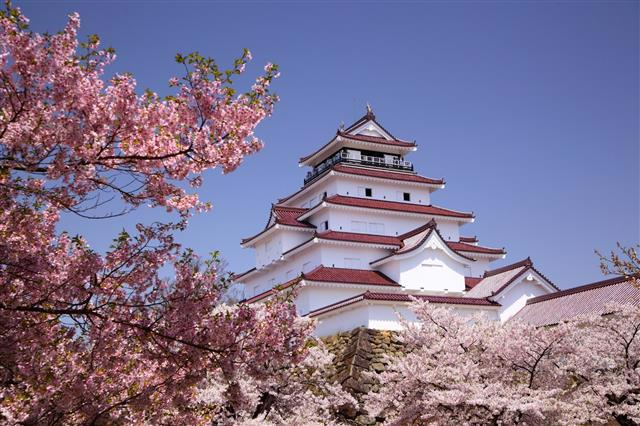 japonya Ulusal Turizm Örgütü'nden mesaj