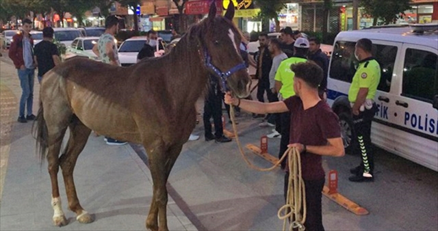 Kahramanmaraş'ta trafiği tehlikeye sokan atı polis yakaladı