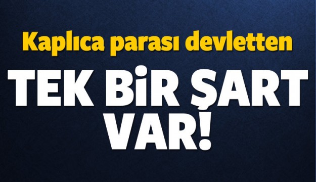 Kaplıca parası devletten!