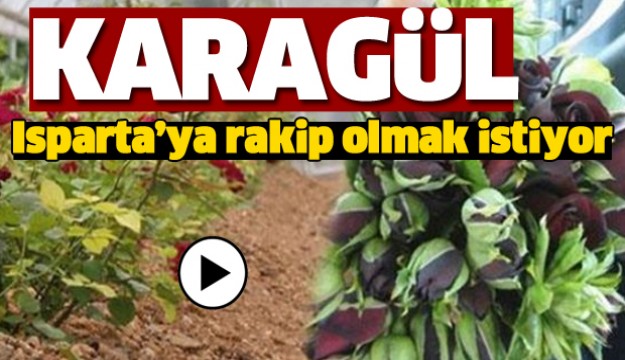 Karagül Isparta’ya rakip olmak istiyor