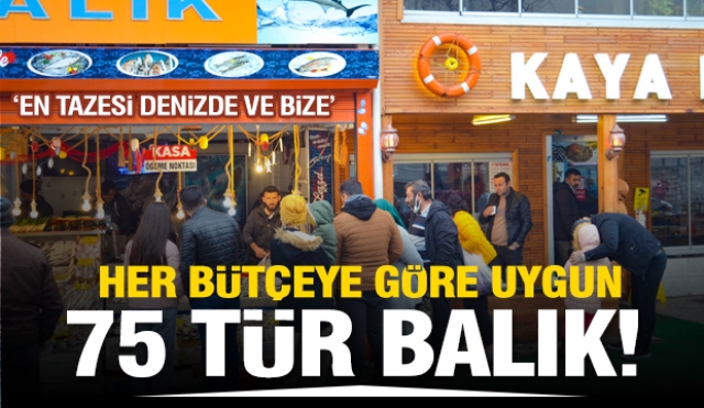 KAYA BALIK: ''EN TAZESİ DENİZDE VE BİZDE!''