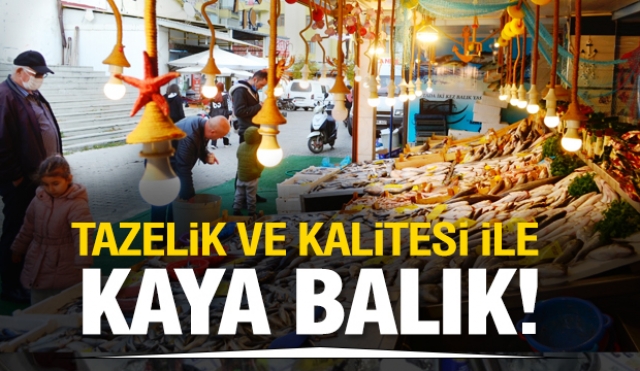 Kaya Balık'ta Balıklar her zaman çok taze ve lezzetli