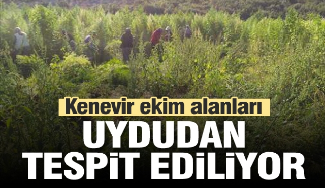 Kenevir ekim alanları uydudan tespit edilecek