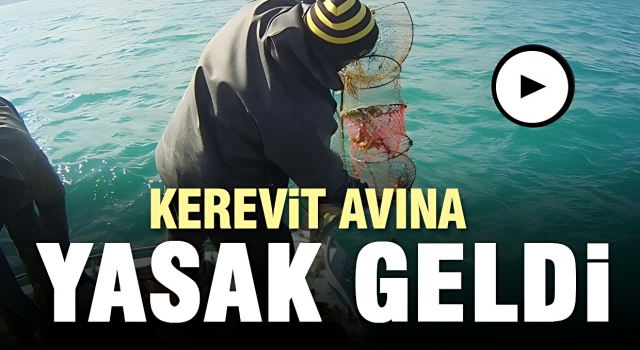Kerevit Avcılığı 1 Kasım-30 Haziran'da Yasak