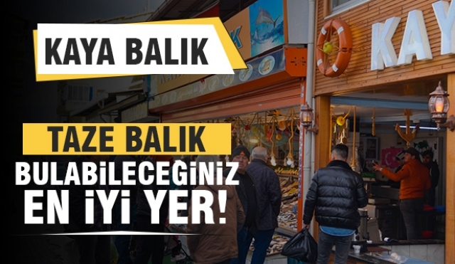 Kışın Direncinizi Artırın, Sağlığınıza Katkı Sağlayın: Kaya Balık'tan Taze Balıklar!