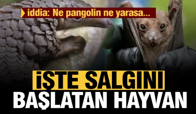 Koronavirüs (COVID-19) iddiası: Ne pangolin ne de yarasa... İşte salgını başlatan hayvan