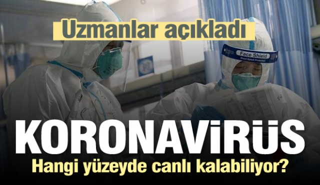 Koronavirüs hangi şartlarda hayatta kalabiliyor?