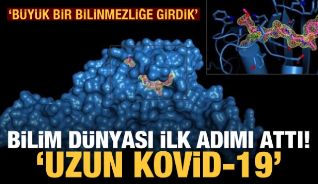 Koronavirüste yeni araştırma! Hayatımıza nasıl girdi?