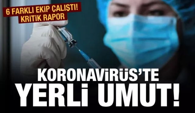 Koronavirüs'te yerli umut! 6 farklı ekip çalıştı kritik rapor...
