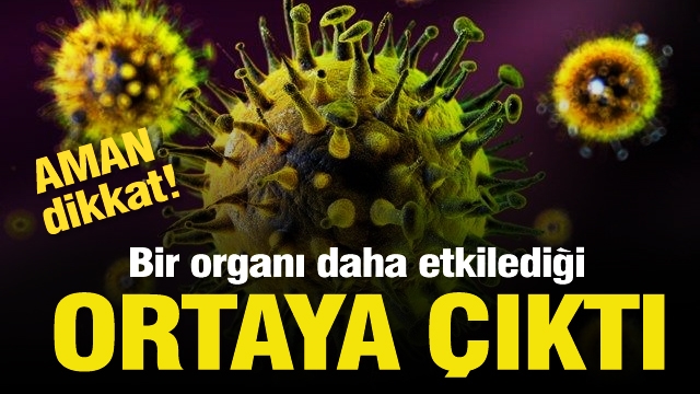 Koronavirüsün bir organı daha etkilediği ortaya çıktı