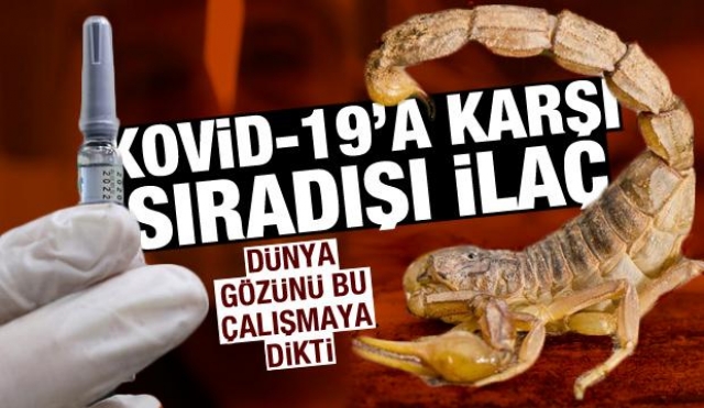 KOVİD-19'A KARŞI SIRADIŞI İLAÇ - AKREP ZEHİRİ