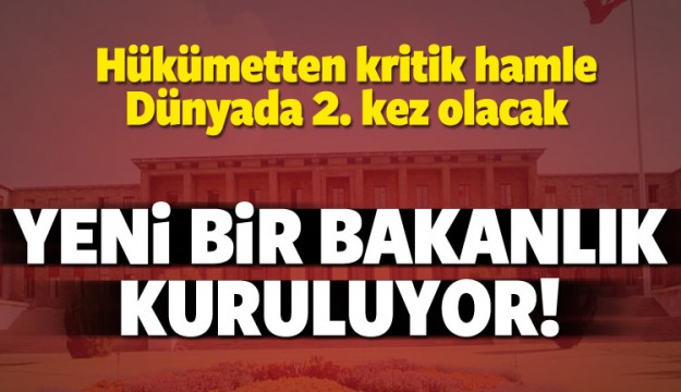 Kritik hamle! Yeni bakanlık kuruluyor