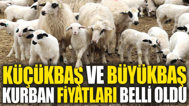 KÜÇÜKBAŞ VE BÜYÜKBAŞ KURBAN FİYATLARI AÇIKLANDI