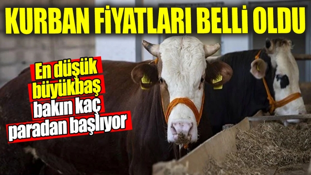 Kurban Fiyatları Belli Oldu