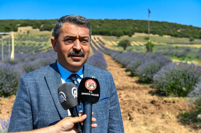Kuyucak'ta Büyüleyici Bir Şölen: Lavanta Festivali