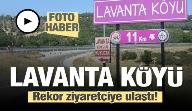 Lavanta Kokulu Köy Kuyucak rekor ziyaretçiye ulaştı