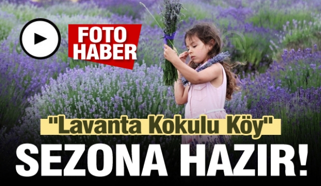 "Lavanta Kokulu Köy" sezona hazır