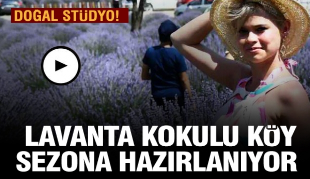 LAVANTA KOKULU KÖY SEZONA HAZIRLANIYOR