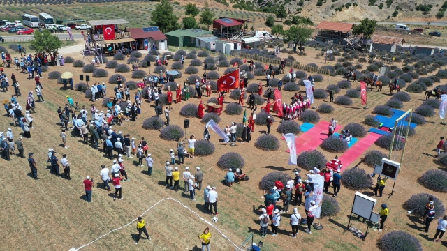 LAVANTA’NIN BAŞKENTİ KUYUCAK'TA ŞENLİK DÜZENLENDİ