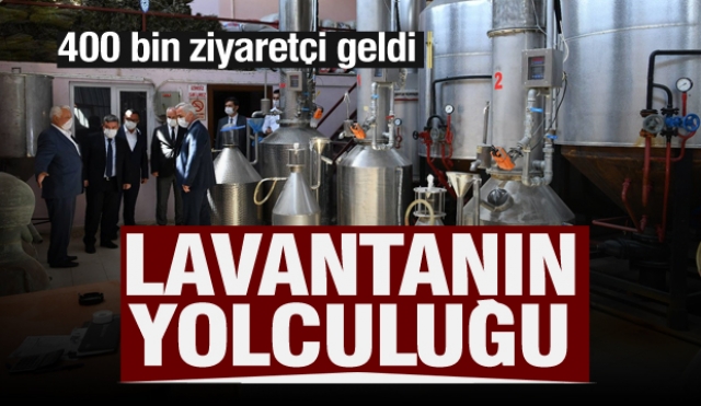 Lavantanın Yolculuğu