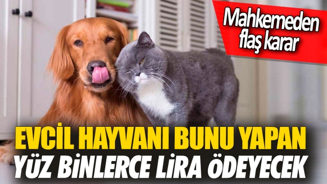 Mahallede Köpek Olayı Mahkemeye Taşındı