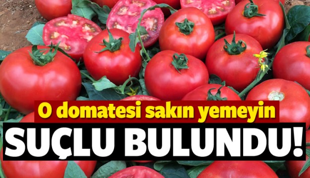 Merkez suçluyu buldu