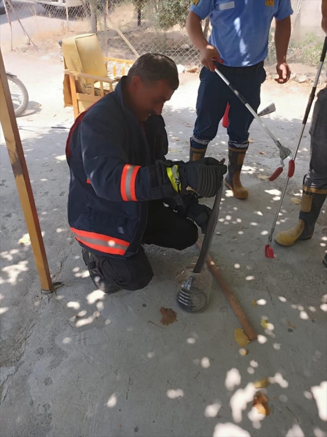 Mersin'de evin mutfağına giren yılanı itfaiye ekibi yakaladı