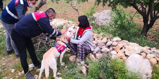 Mersin'de 17 yaşındaki kayıp kız arazide uyurken bulundu