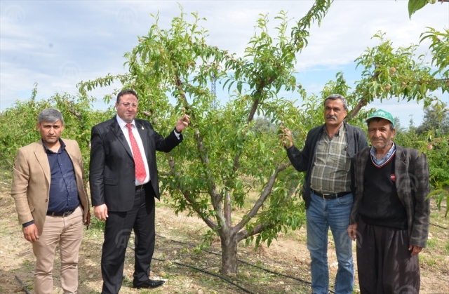 ​Mersin'de dolu etkili oldu