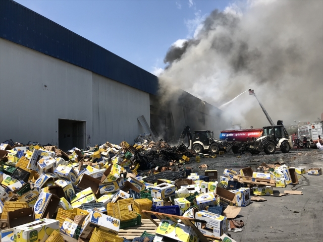 Mersin'de narenciye paketleme fabrikasında yangın çıktı