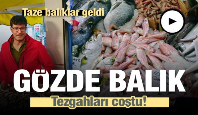 Mevsimin en taze balık çeşitleri Gözde Balık'tan 