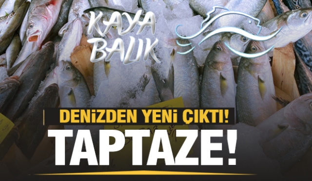 Mevsimlik en taze balıklar Kaya Balık'ta!