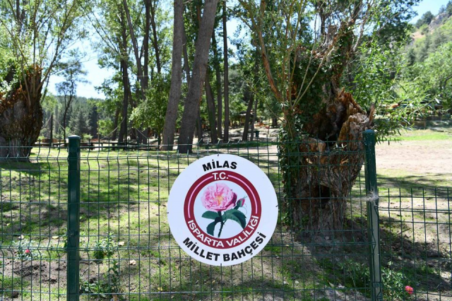 Milas Millet Bahçesi: Isparta'da Şehirden Uzaklaşmanın En Güzel Yolu