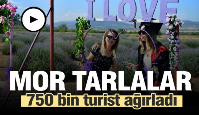 Mor tarlalar 750 bin turist ağırladı