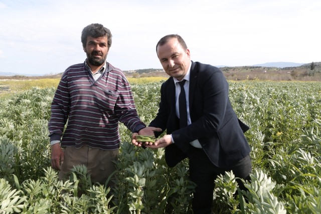 Mut'ta bakla hasadı başladı