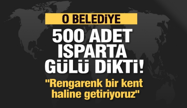 O Belediye 500 adet Isparta gülü dikti