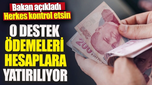 O destek ödemeleri hesaplara yatırılıyor