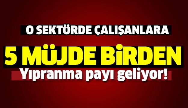 O SEKTÖRDE ÇALIŞANLARA 5 MÜJDE BİRDEN