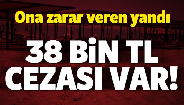 Ona zarar veren yandı! Cezası 38 bin lira