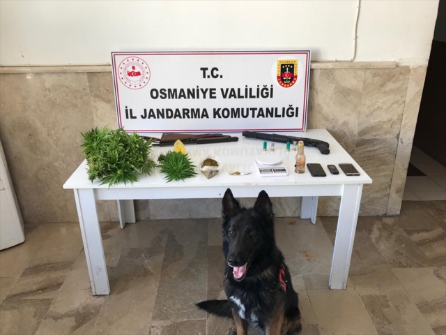 Osmaniye'de uyuşturucu ticareti iddiasıyla bir şüpheli tutuklandı
