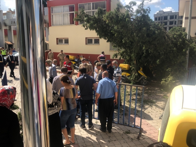 Osmaniye'de üzerine ağaç dalı düşen PTT çalışanı yaralandı