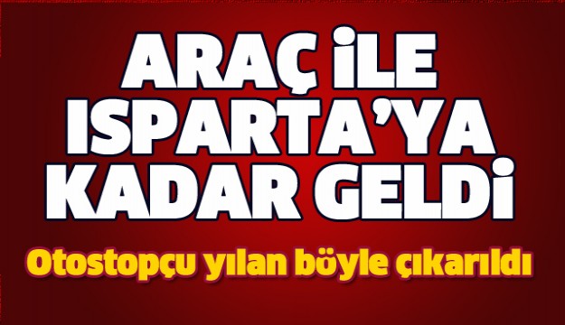 OTOSTOPÇU YILANI İTFAİYE EKİPLERİ ÇIKARDI