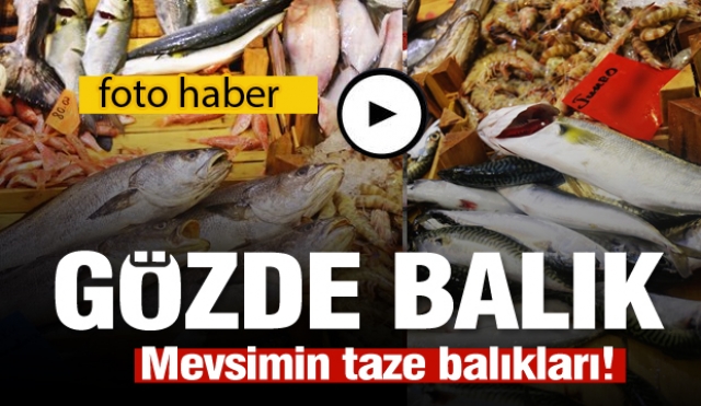 Protein deposu balık çeşitleri Gözde Balık tezgahlarında