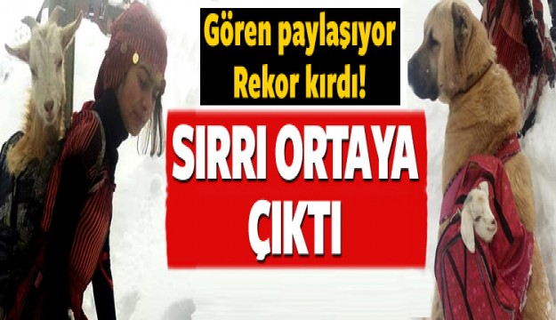 Rekor beğeni almıştı! Sırrı ortaya çıktı