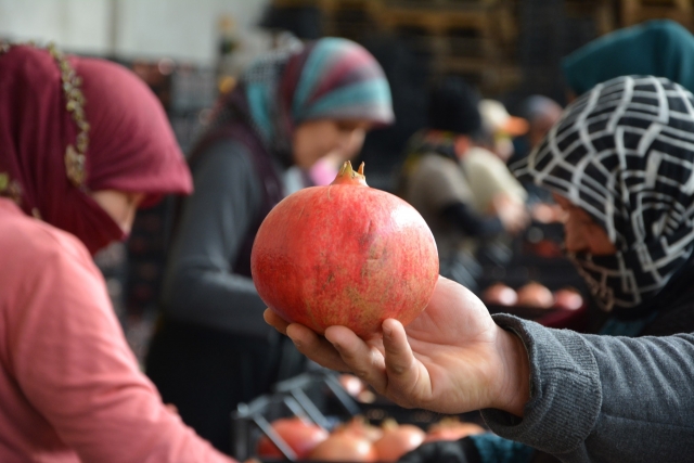 Rusya’nın narı Korkuteli’den ihraç ediliyor 