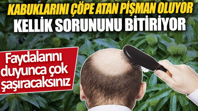 Sağlıklı Bir Hazinemiz!