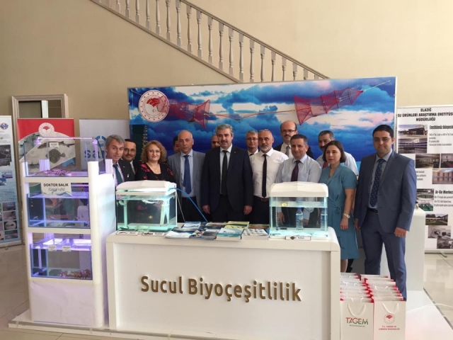 SAREM Tıbbi Sülük'lerini İzmir'de tanıttı