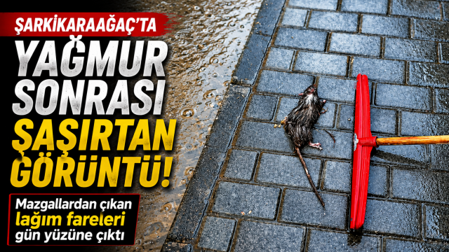 Şarkikaraağaç’ta yağmur sonrası şaşırtan görüntü